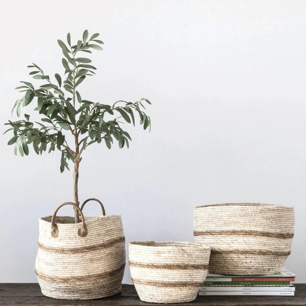 Striped Maize Storage Baskets / Planters, Set of 3 by White Cliff Studio