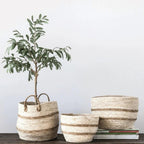 Striped Maize Storage Baskets / Planters, Set of 3 by White Cliff Studio