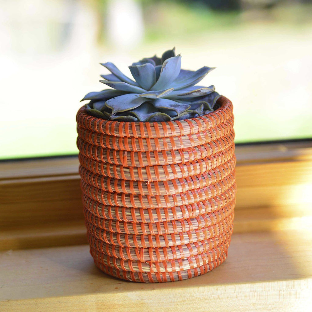 Succulent Basket Planter La Vie Bien Succulent Basket Planter