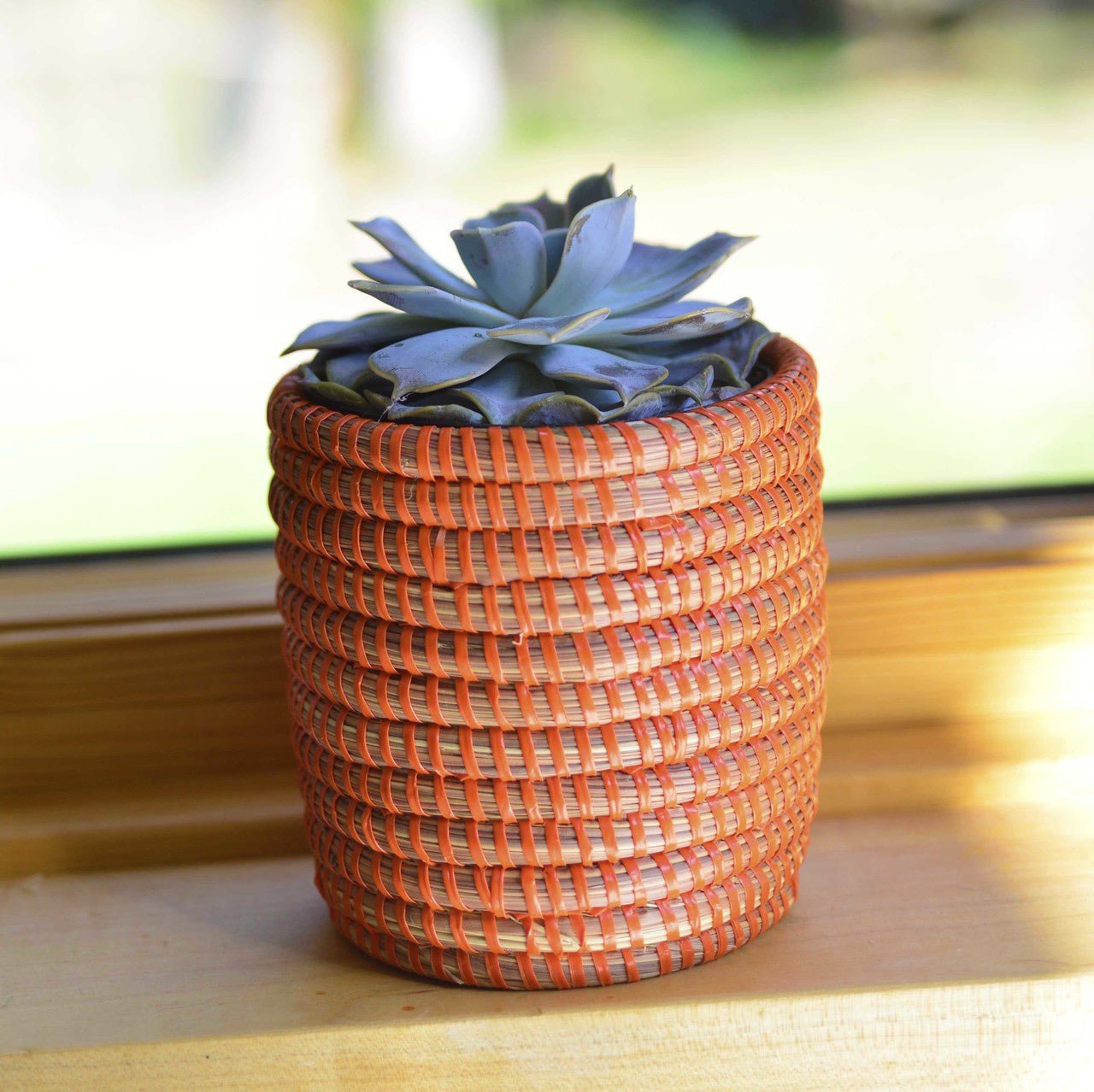 Succulent Basket Planter La Vie Bien Succulent Basket Planter