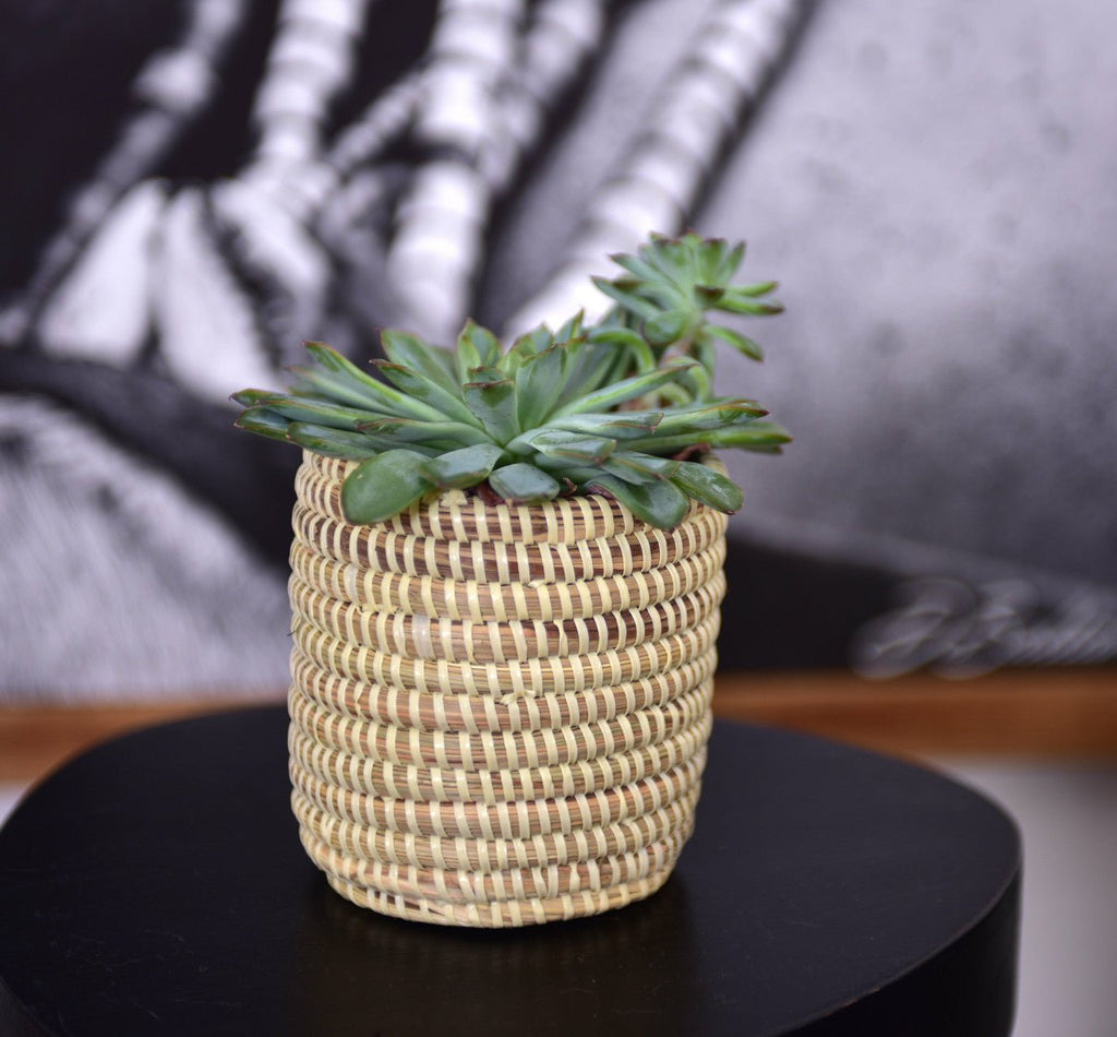 Succulent Basket Planter La Vie Bien Succulent Basket Planter
