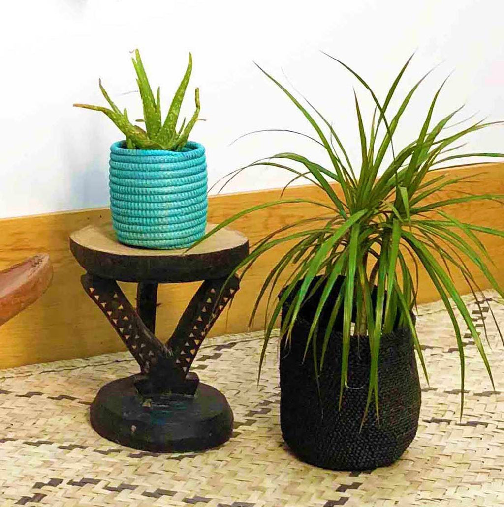 Succulent Basket Planter La Vie Bien Succulent Basket Planter