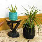 Succulent Basket Planter La Vie Bien Succulent Basket Planter