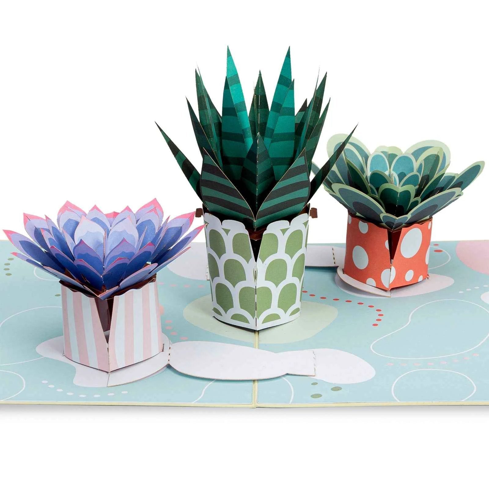 Succulents Pop Up Card by Paper Love