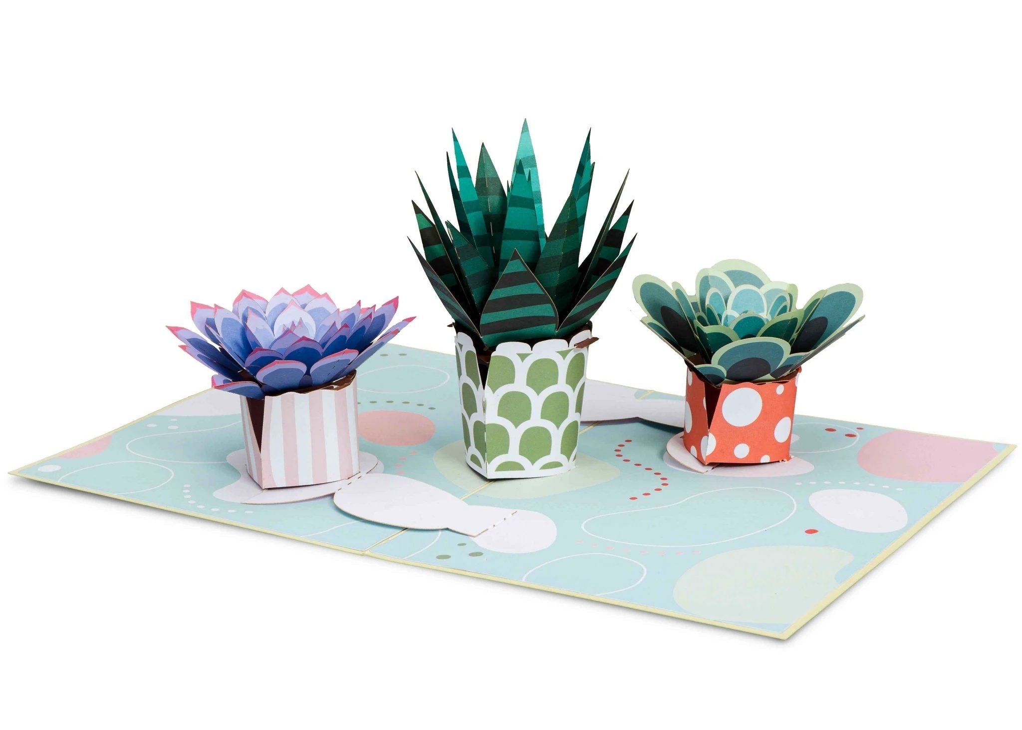 Succulents Pop Up Card by Paper Love