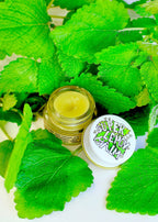SUPER LEMON BALM Face Makeup La Vie Bien SUPER LEMON BALM
