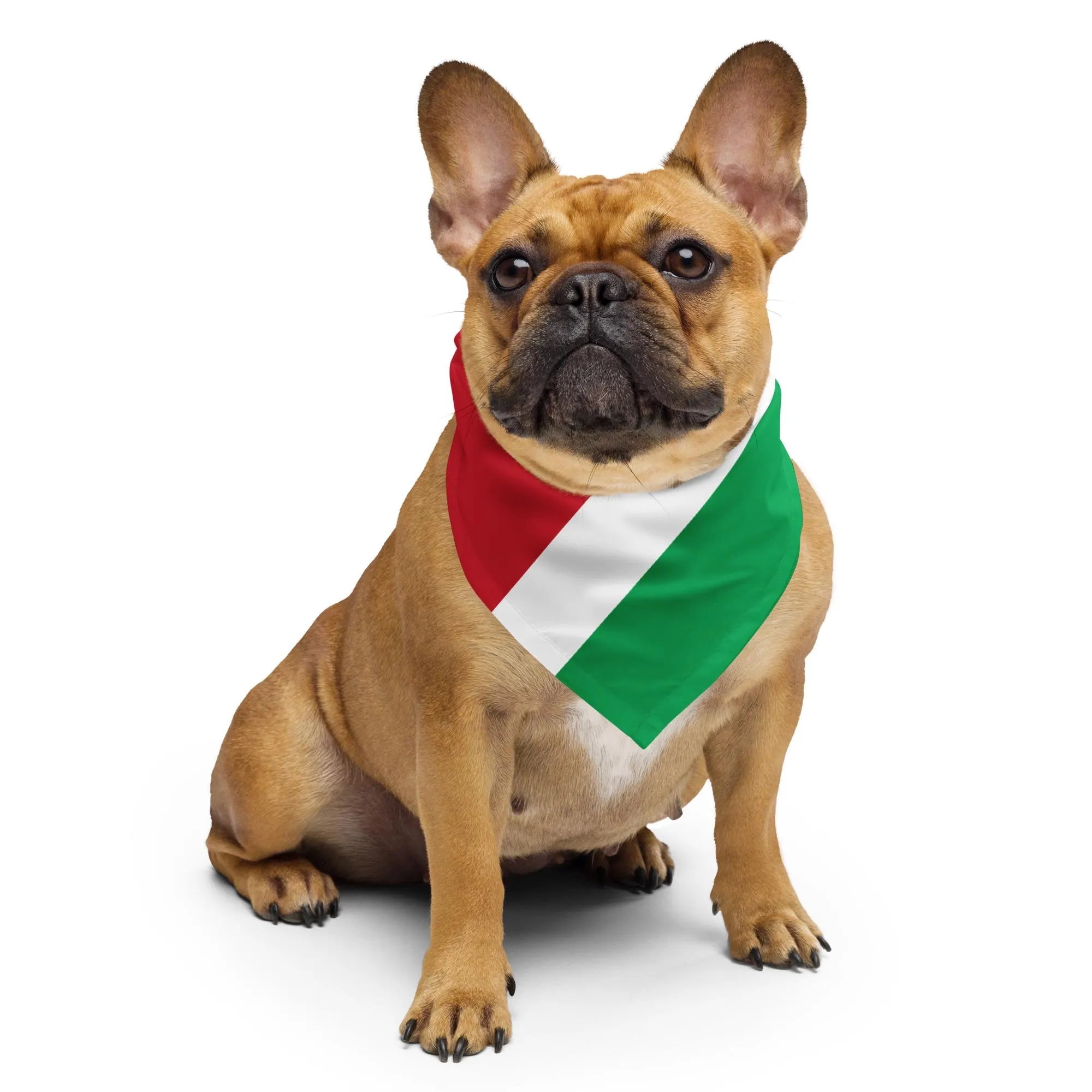 Suriname Flag Bandana All-Over Print Bandana La Vie Bien Suriname Flag Bandana