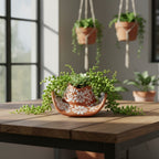 Talavera Sombrero Planter | Brown & White Floral Design Talavera Planter La Vie Bien Talavera Sombrero Planter | Brown & White Floral Design