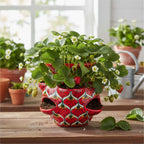 Talavera Strawberry Planter | Red Peacock Design Talavera Planter La Vie Bien Talavera Strawberry Planter | Red Peacock Design