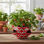 Talavera Strawberry Planter | Red Peacock Design Talavera Planter La Vie Bien Talavera Strawberry Planter | Red Peacock Design