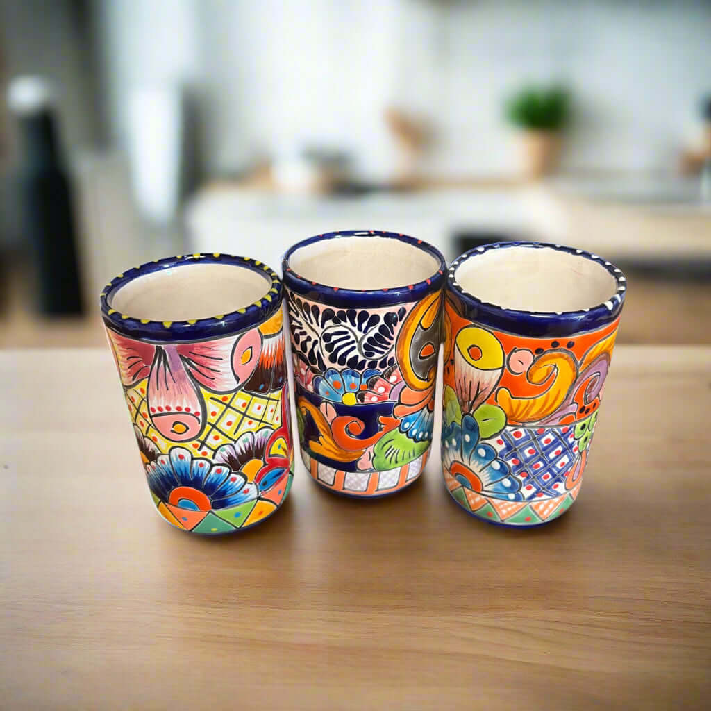 Talavera Tumbler Cup | Hand - Painted Mexican Ceramic Glass Talavera Tumbler La Vie Bien Talavera Tumbler Cup | Hand - Painted Mexican Ceramic Glass