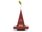 Tea Forte Frank Lloyd Wright Tea Gift Set by Frank Lloyd Wright Foundation