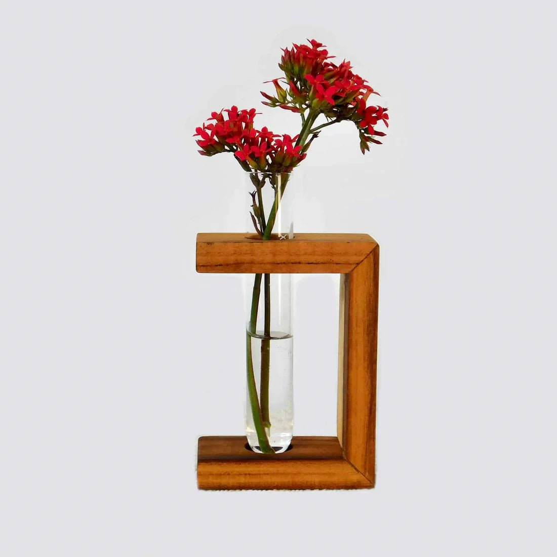 Teak Half - Square Propagation Vase Siggy La Vie Bien Teak Half - Square Propagation Vase