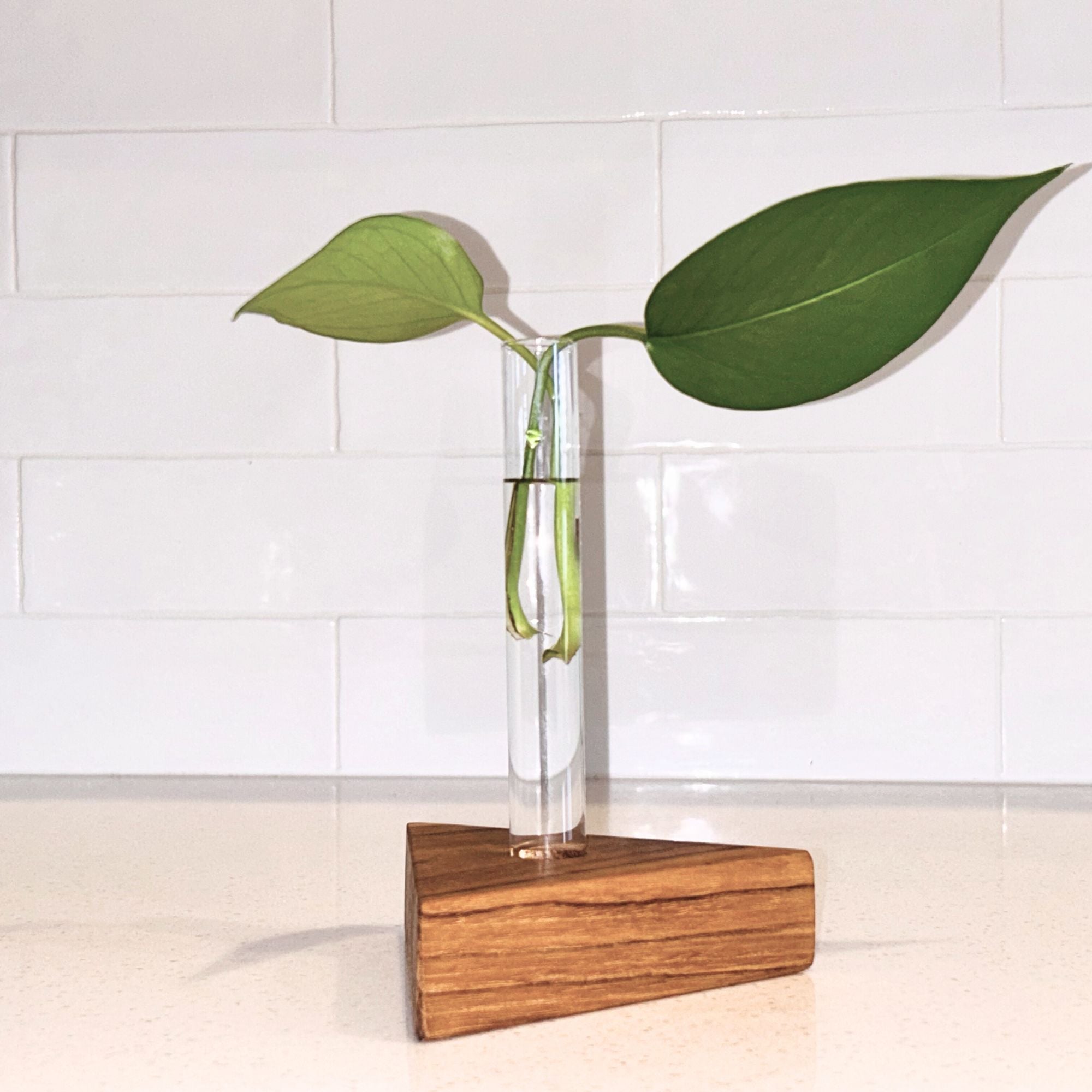 Teak Triangle Propagation Vase Siggy La Vie Bien Teak Triangle Propagation Vase