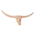 Terracotta Longhorn Wall Art | Hand-Painted Mexican Bull Skull