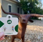Texas 3D Huggie Hoop Earrings by Oh Clementine