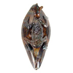 Lizard Coat Hook