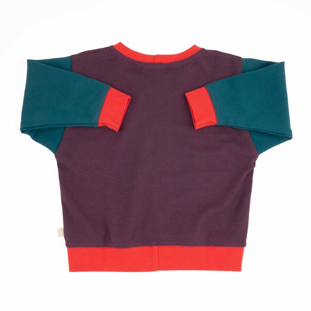 Toddler Colorblock Sweatshirt