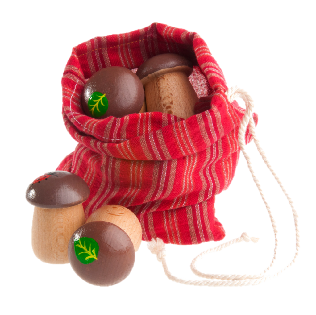 Educational Mushrooms Counters for kids math Play set of 12 in linen bag