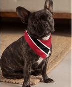 Trinidad & Tobago All Over Print Bandana All-Over Print Bandana La Vie Bien Trinidad & Tobago All Over Print Bandana