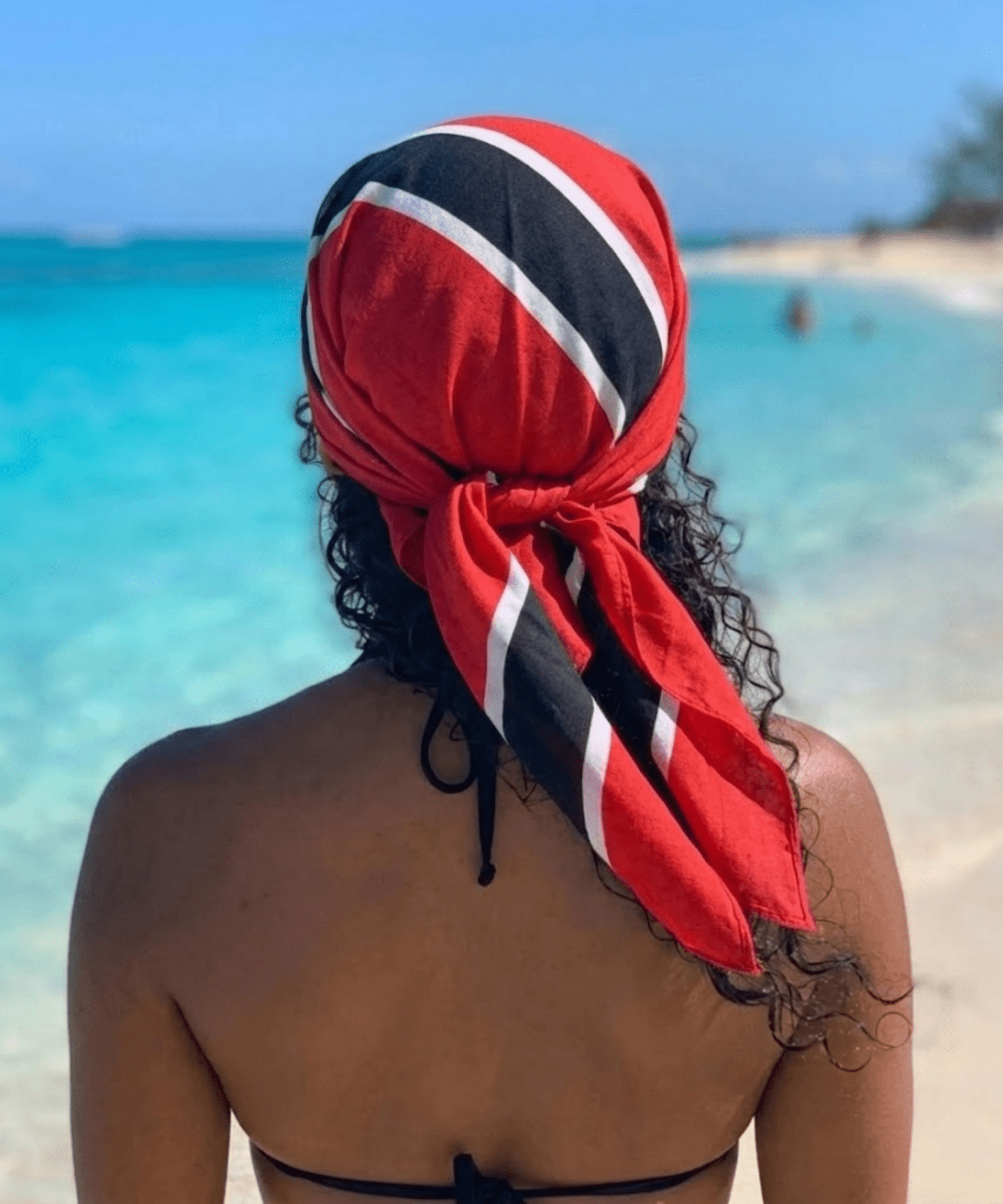 Trinidad & Tobago All Over Print Bandana All-Over Print Bandana La Vie Bien Trinidad & Tobago All Over Print Bandana