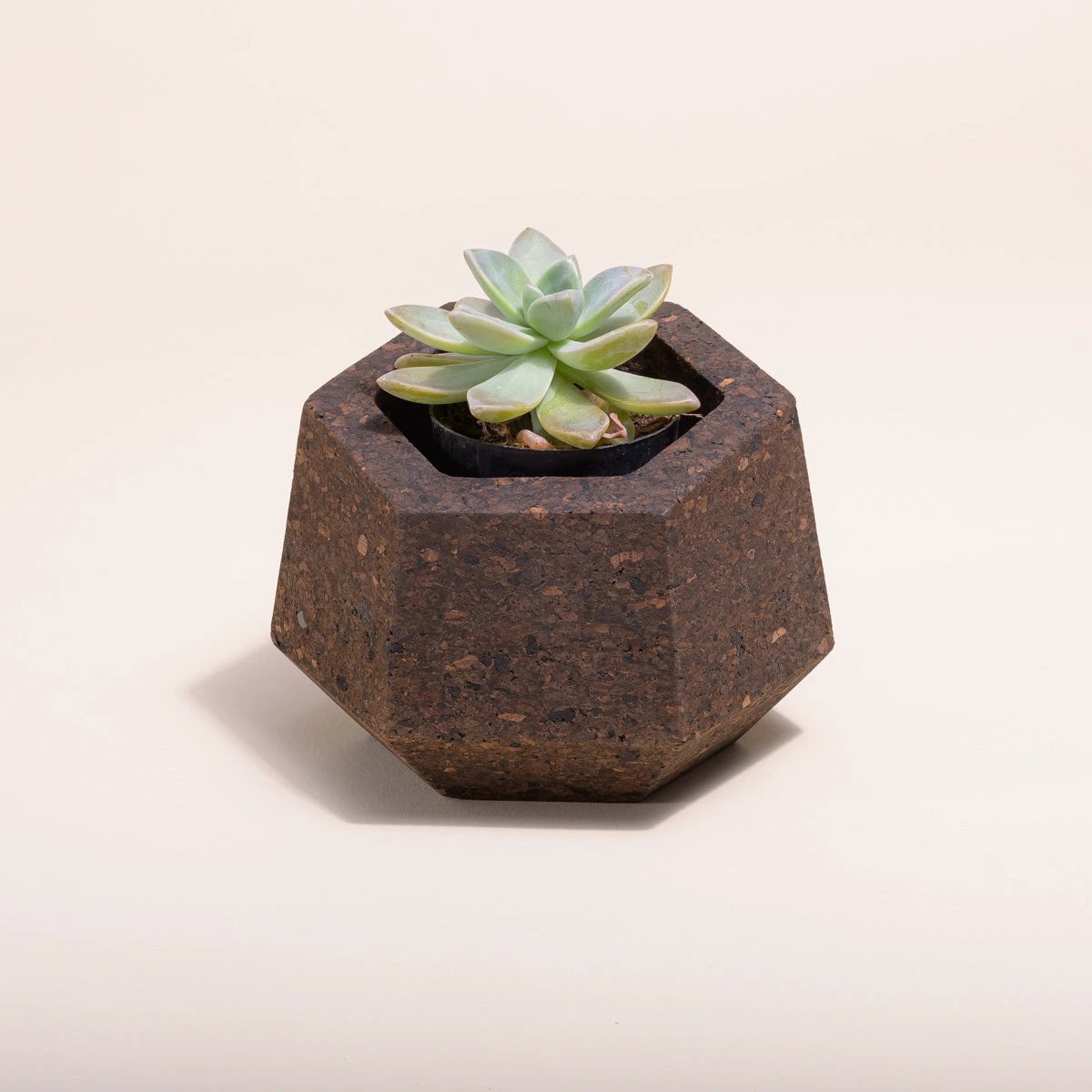 Upcycled Cork Vase