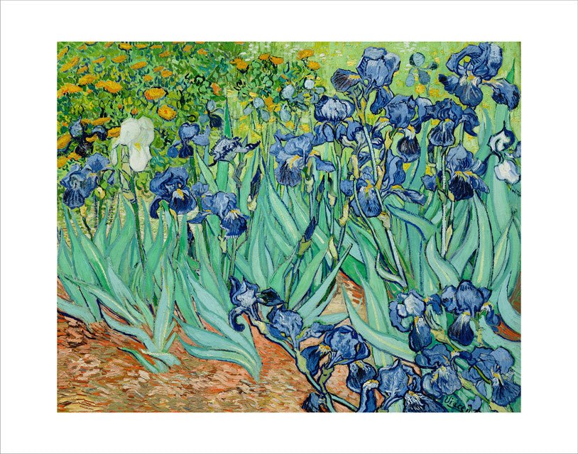 Van Gogh Irises 11" x 14" Print STATIONERY La Vie Bien Van Gogh Irises 11" x 14" Print