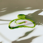 Velvet Claws Hair Clip | Green Snake Hair Claw Accessories La Vie Bien Velvet Claws Hair Clip | Green Snake Hair Claw