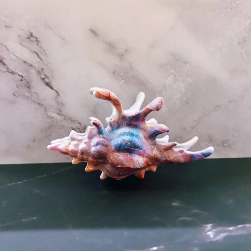 Velvet Claws Realistic Conch Shell Hair Claw in Mermaid Colors by The Bullish Store