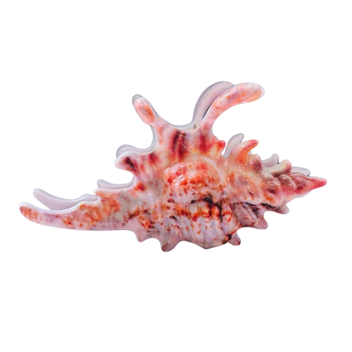Velvet Claws Realistic Conch Shell Hair Claw in Natural Brown and White Hair Clip La Vie Bien Velvet Claws Realistic Conch Shell Hair Claw in Natural Brown and White