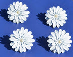 Vibhsa White Floral Set of 12 Napkin Rings Dining Decor La Vie Bien Vibhsa White Floral Set of 12 Napkin Rings