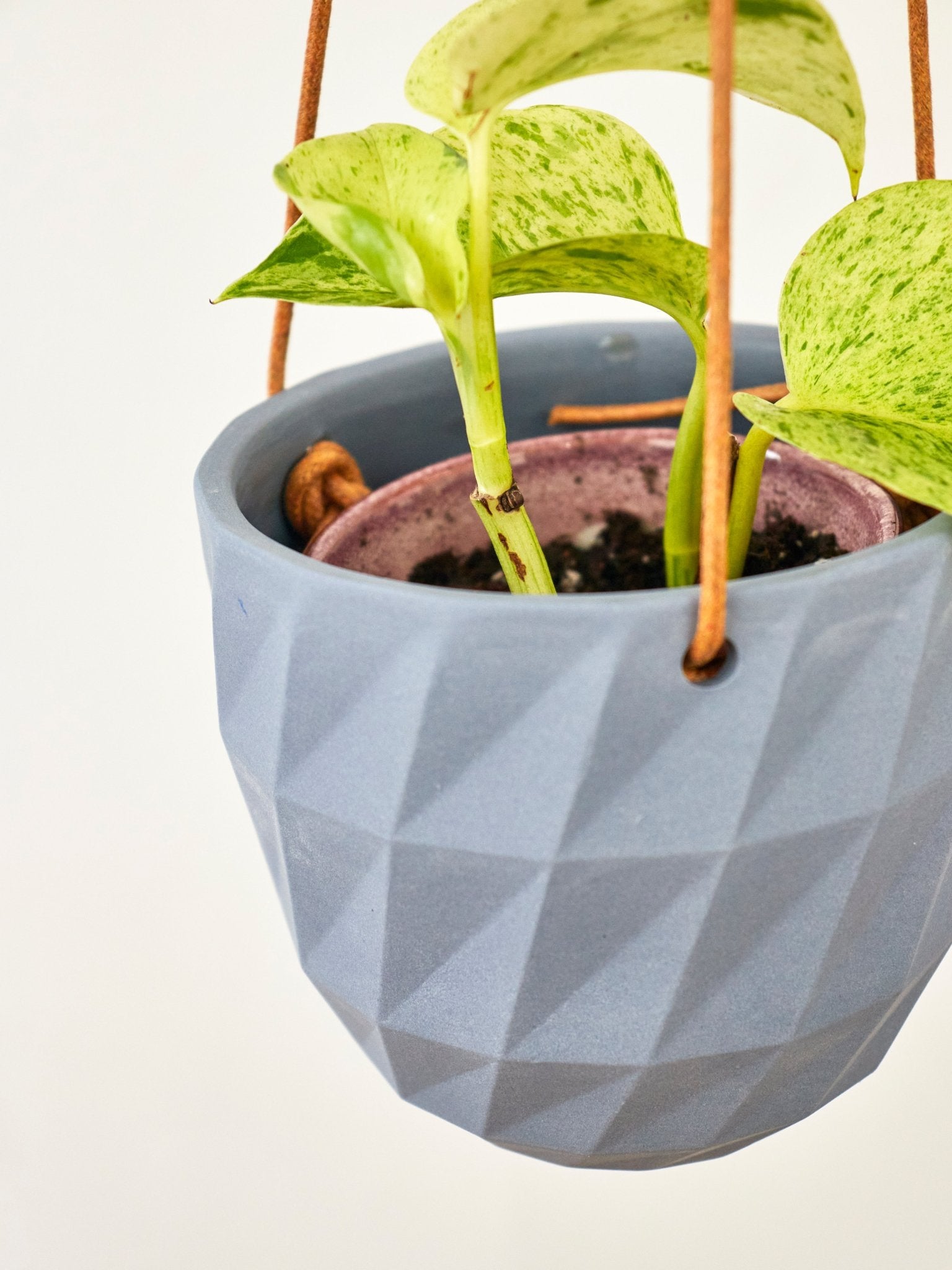 Virago Modern Hanging Planter - Grid