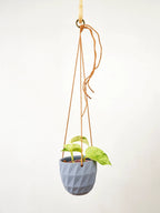 Virago Modern Hanging Planter- Grid by Ash & Rose