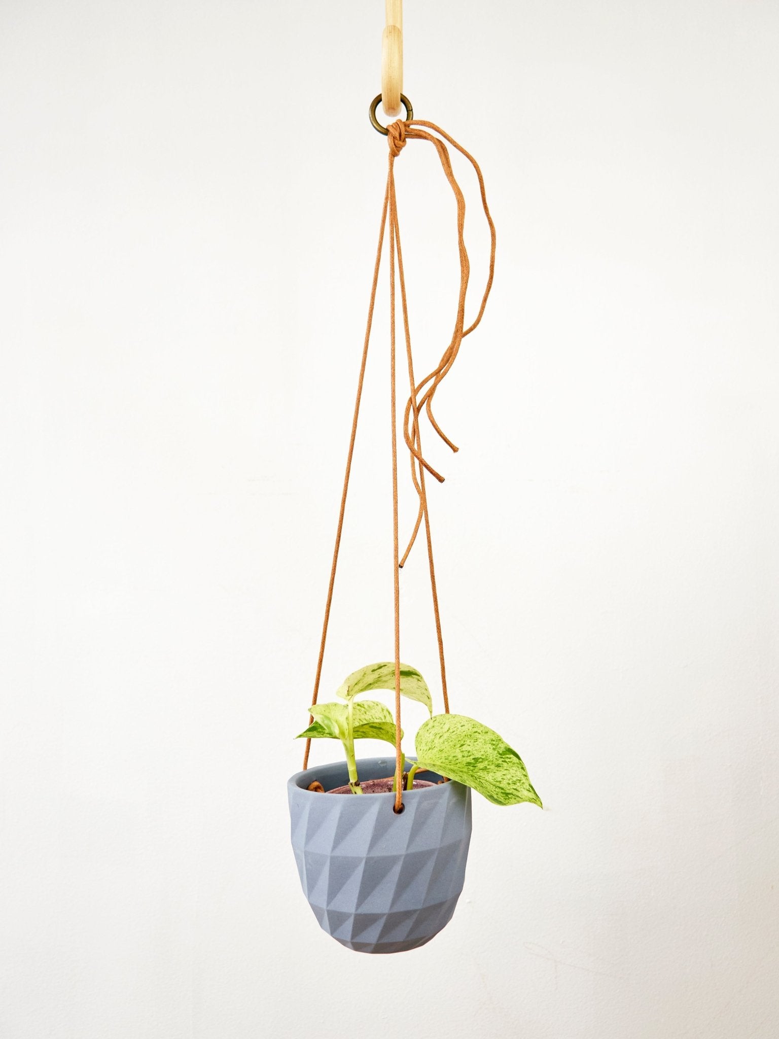 Virago Modern Hanging Planter - Grid