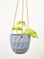 Virago Modern Hanging Planter- Grid by Ash & Rose