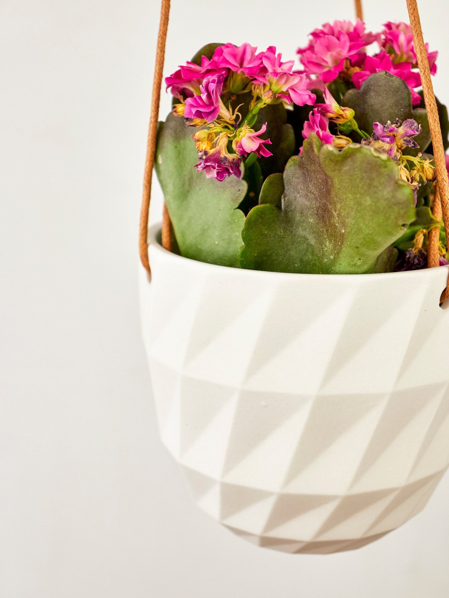 Virago Modern Hanging Planter - Grid