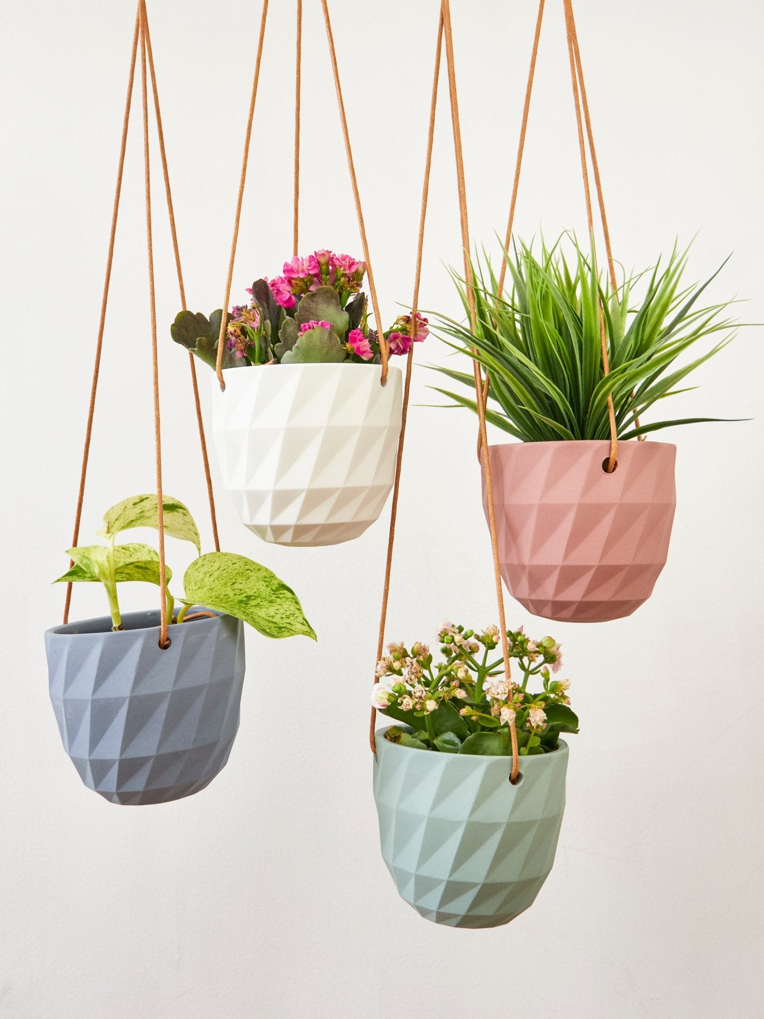Virago Modern Hanging Planter - Grid