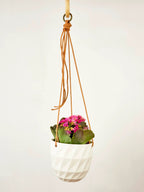 Virago Modern Hanging Planter- Grid by Ash & Rose