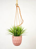Virago Modern Hanging Planter- Grid by Ash & Rose