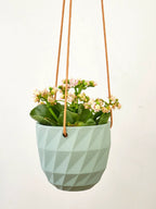 Virago Modern Hanging Planter- Grid by Ash & Rose