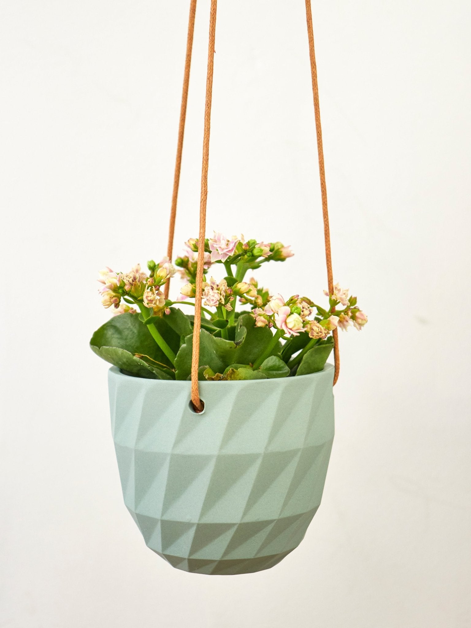 Virago Modern Hanging Planter - Grid