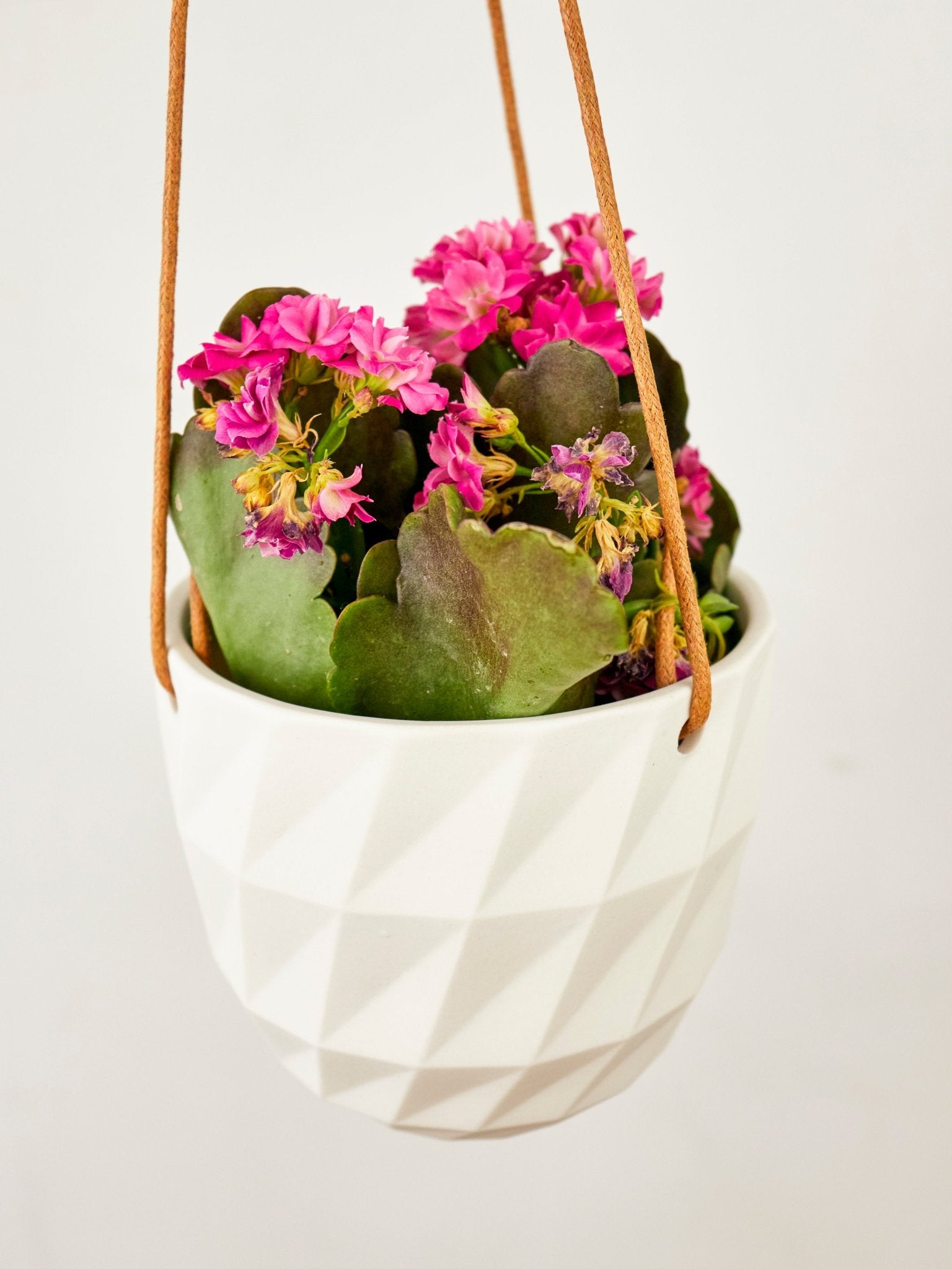 Virago Modern Hanging Planter - Grid