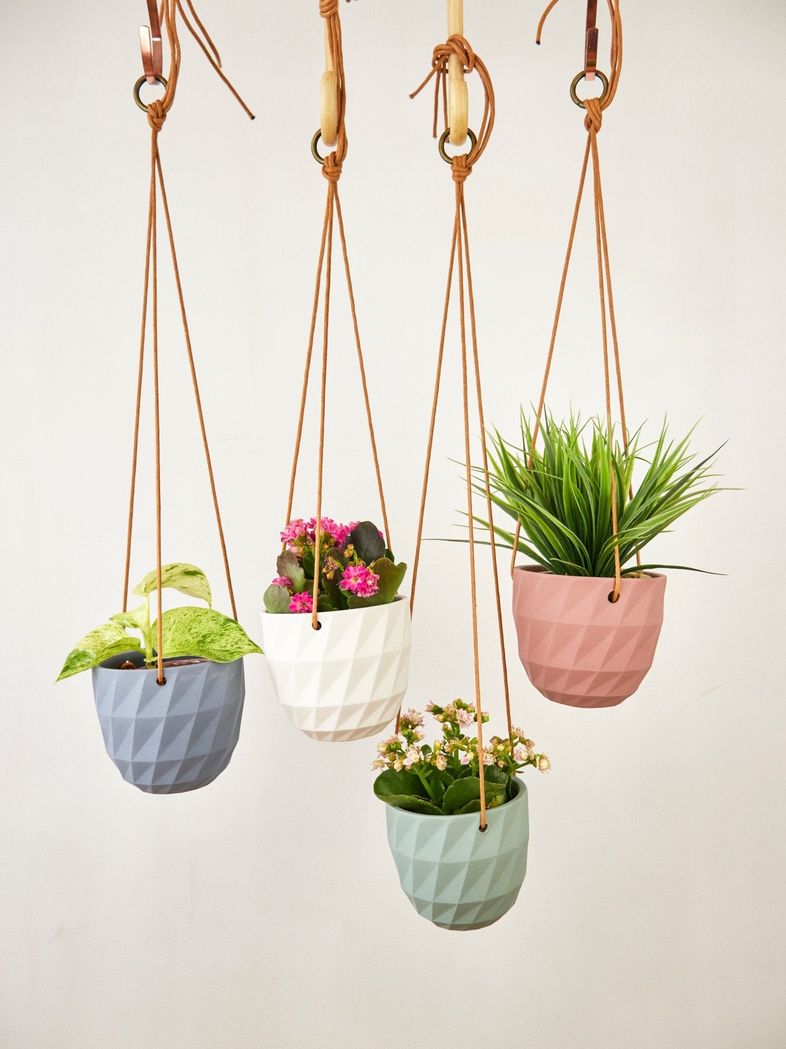 Virago Modern Hanging Planter - Grid