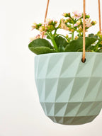 Virago Modern Hanging Planter- Grid by Ash & Rose