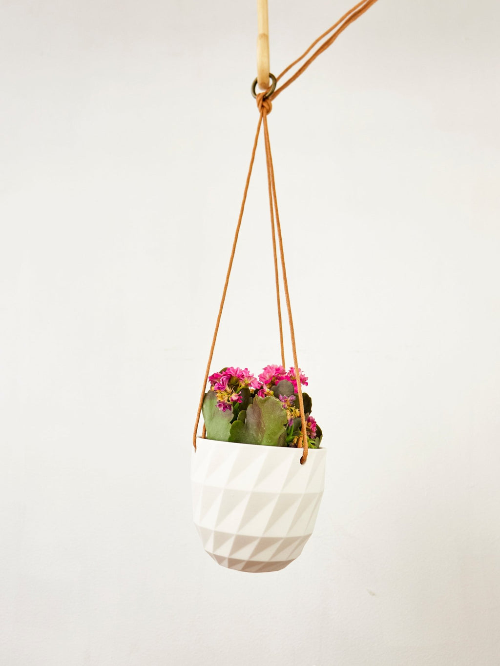 Virago Modern Hanging Planter - Grid