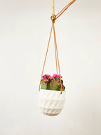 Virago Modern Hanging Planter- Grid by Ash & Rose