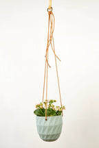 Virago Modern Hanging Planter- Grid by Ash & Rose