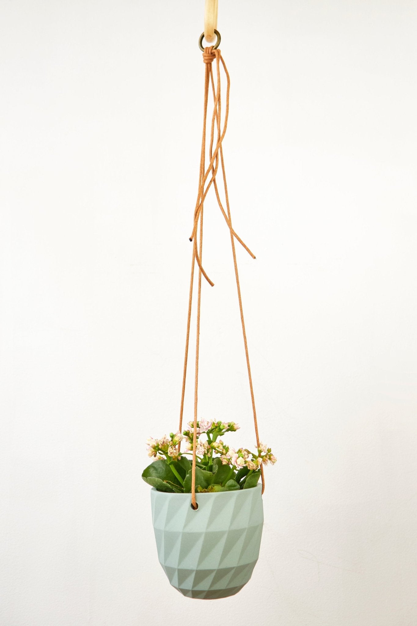 Virago Modern Hanging Planter - Grid