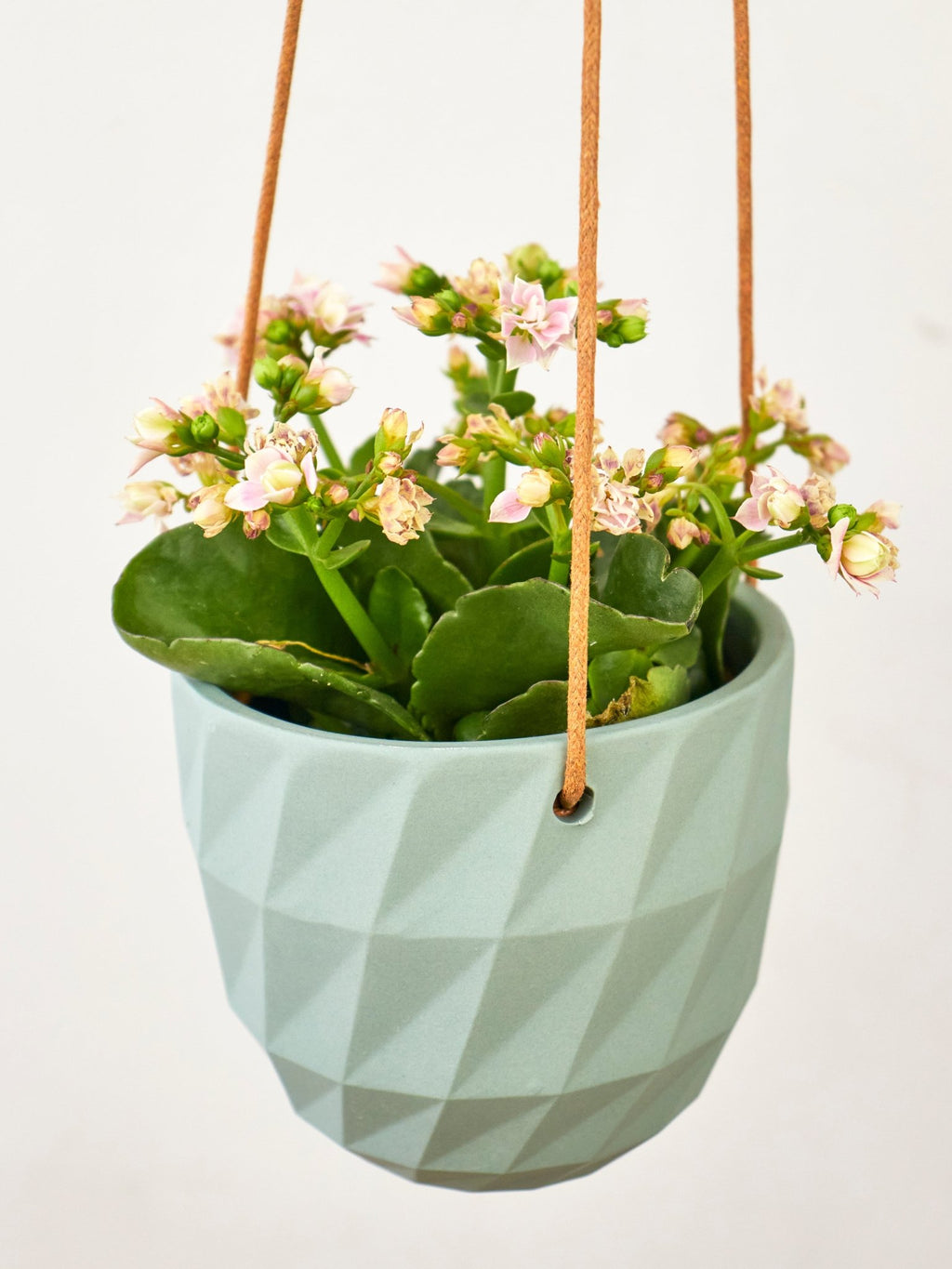 Virago Modern Hanging Planter - Grid