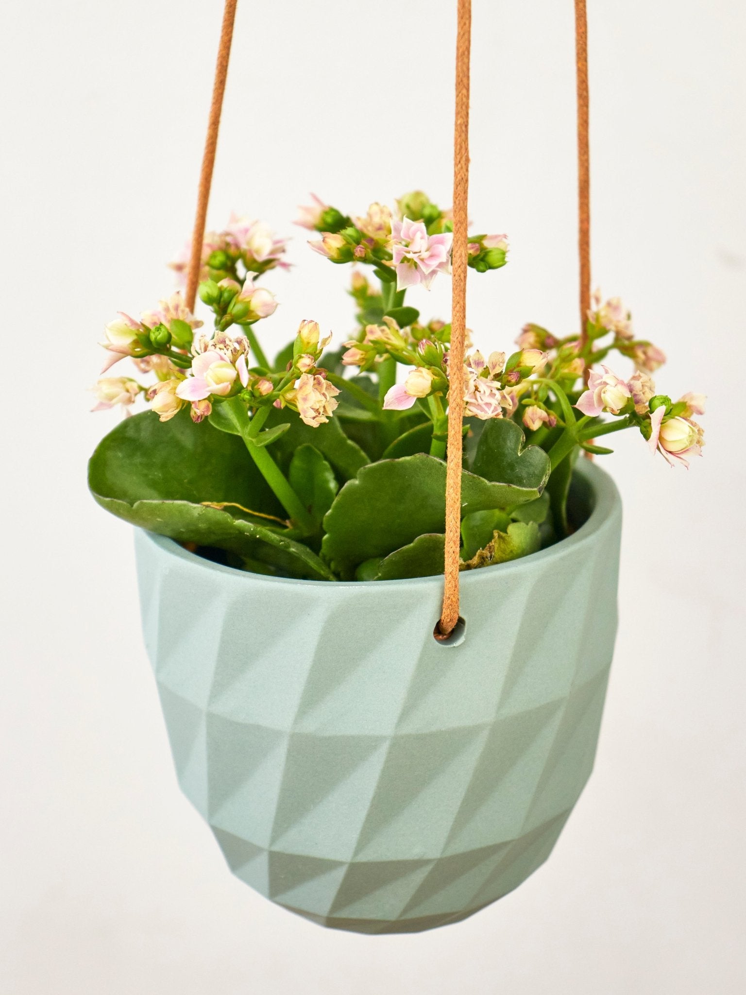 Virago Modern Hanging Planter - Grid